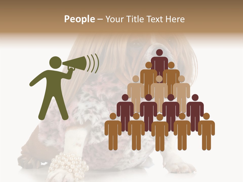 Wrinkle Domestic Wrinkled PowerPoint Template