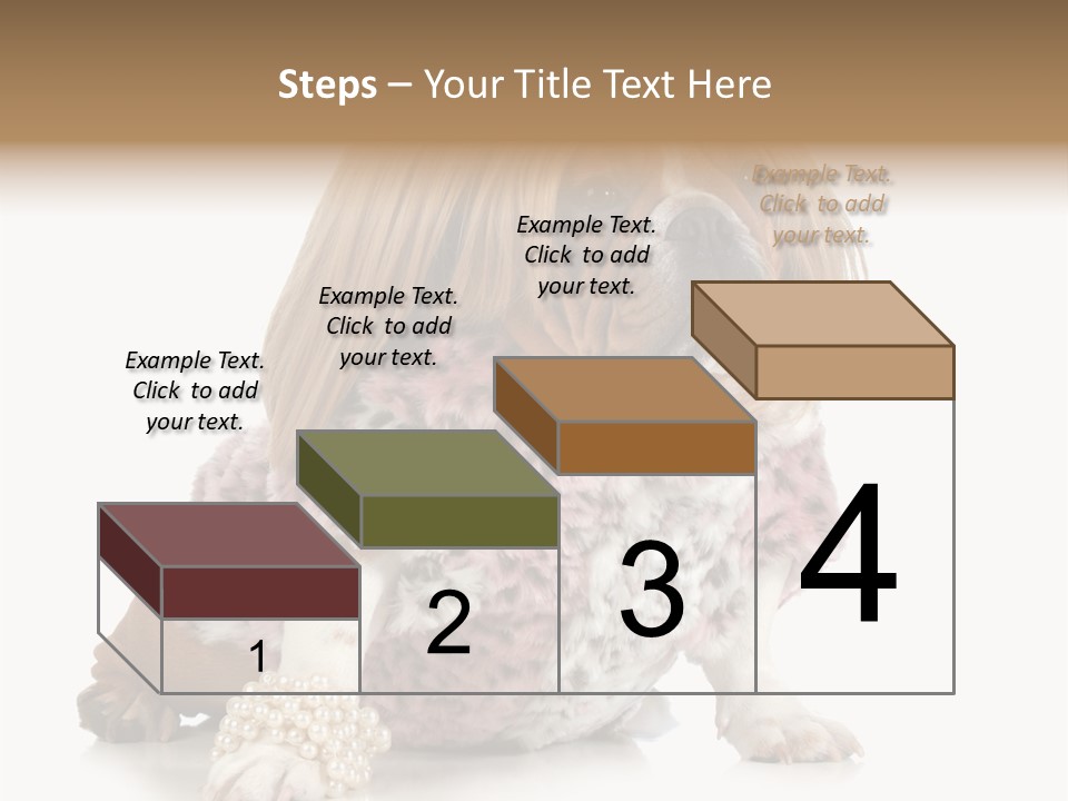 Wrinkle Domestic Wrinkled PowerPoint Template