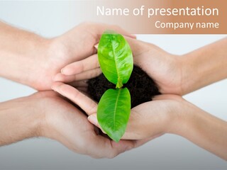 Hold Green Develop PowerPoint Template