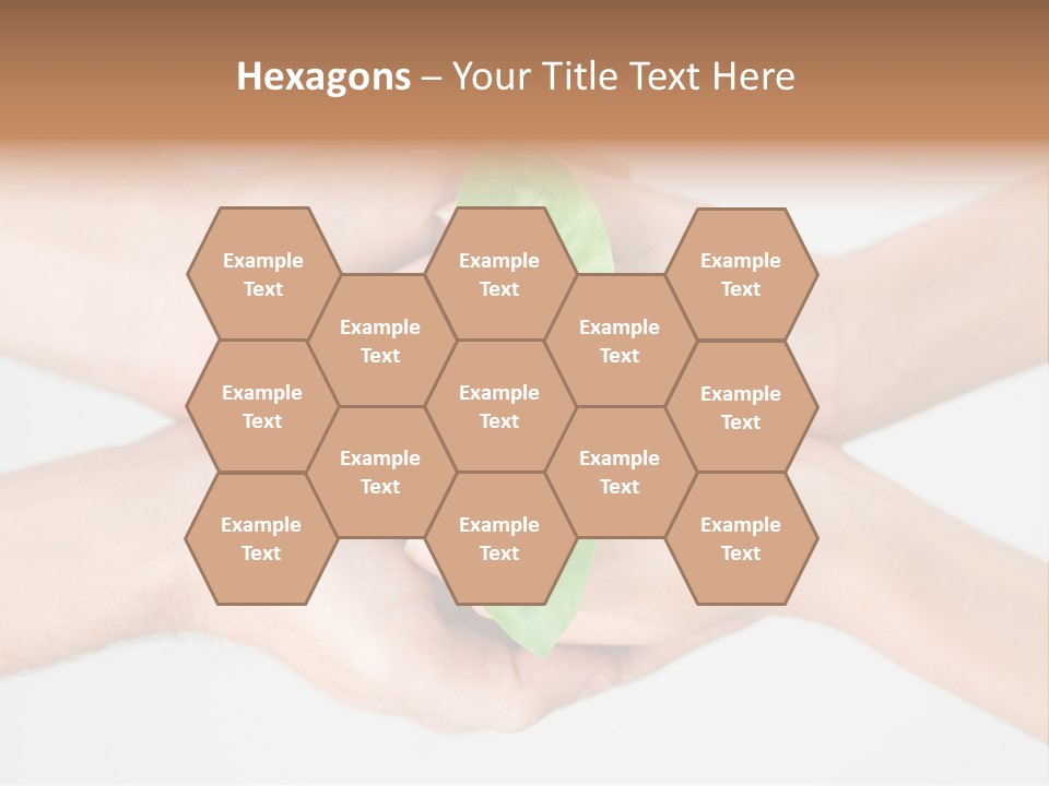 Hold Green Develop PowerPoint Template