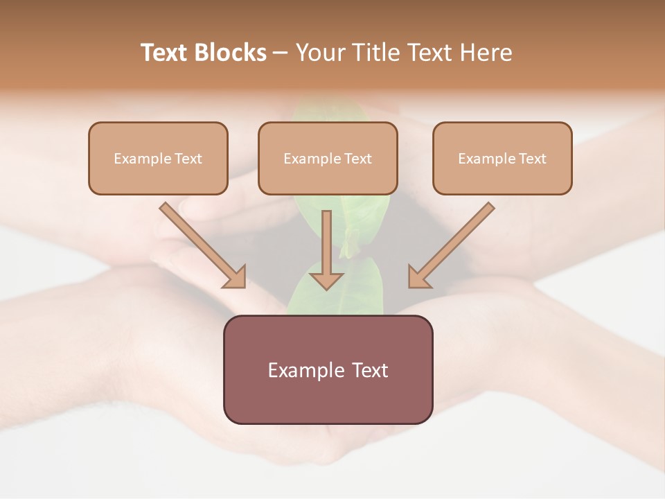 Hold Green Develop PowerPoint Template