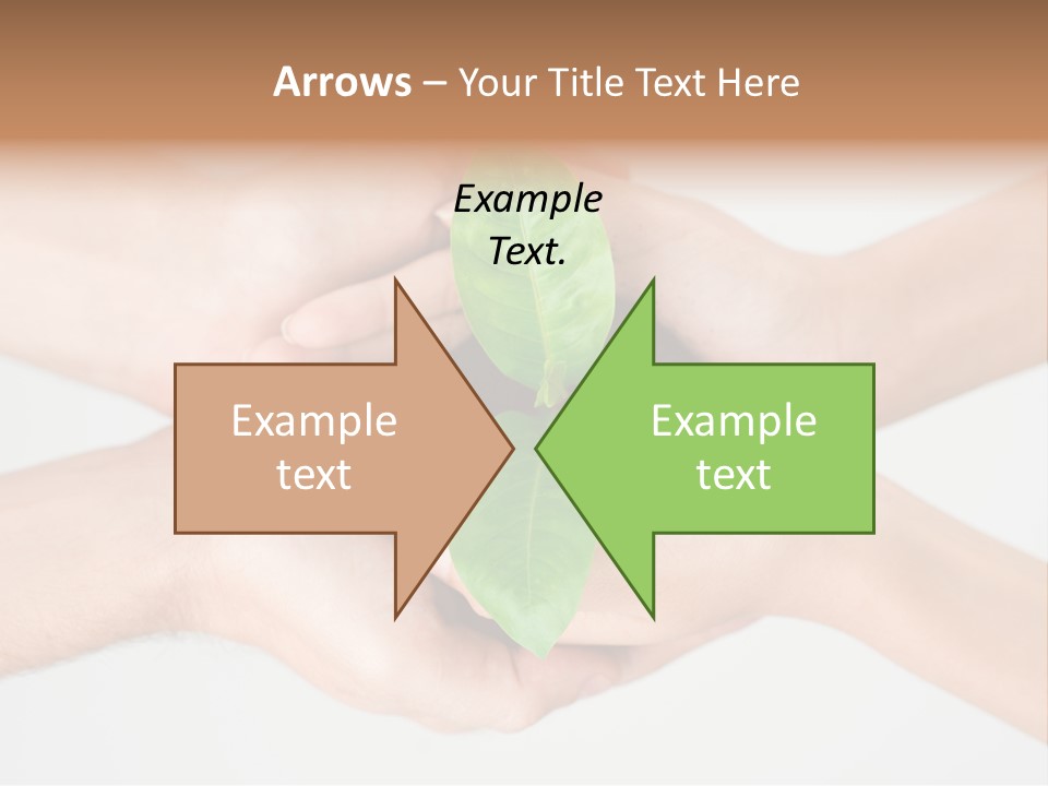 Hold Green Develop PowerPoint Template