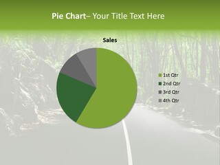 Nature Seychelles Highway PowerPoint Template