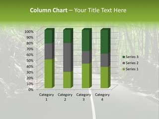 Nature Seychelles Highway PowerPoint Template