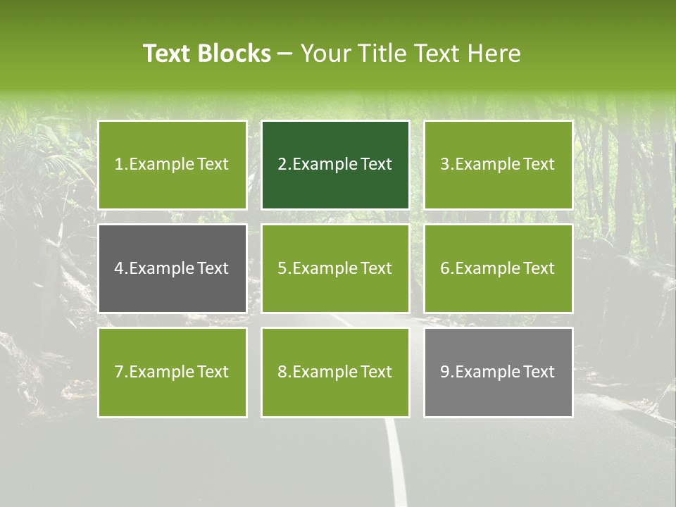 Nature Seychelles Highway PowerPoint Template