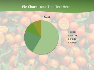 Nature Mandarin Vegetarian PowerPoint Template