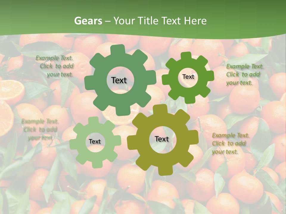 Nature Mandarin Vegetarian PowerPoint Template