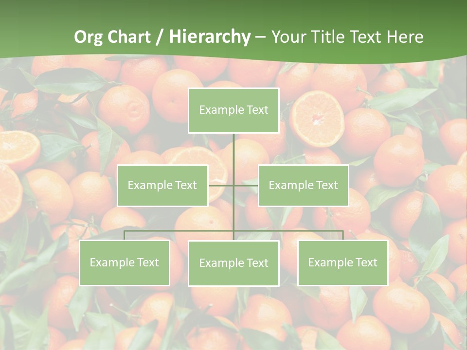 Nature Mandarin Vegetarian PowerPoint Template