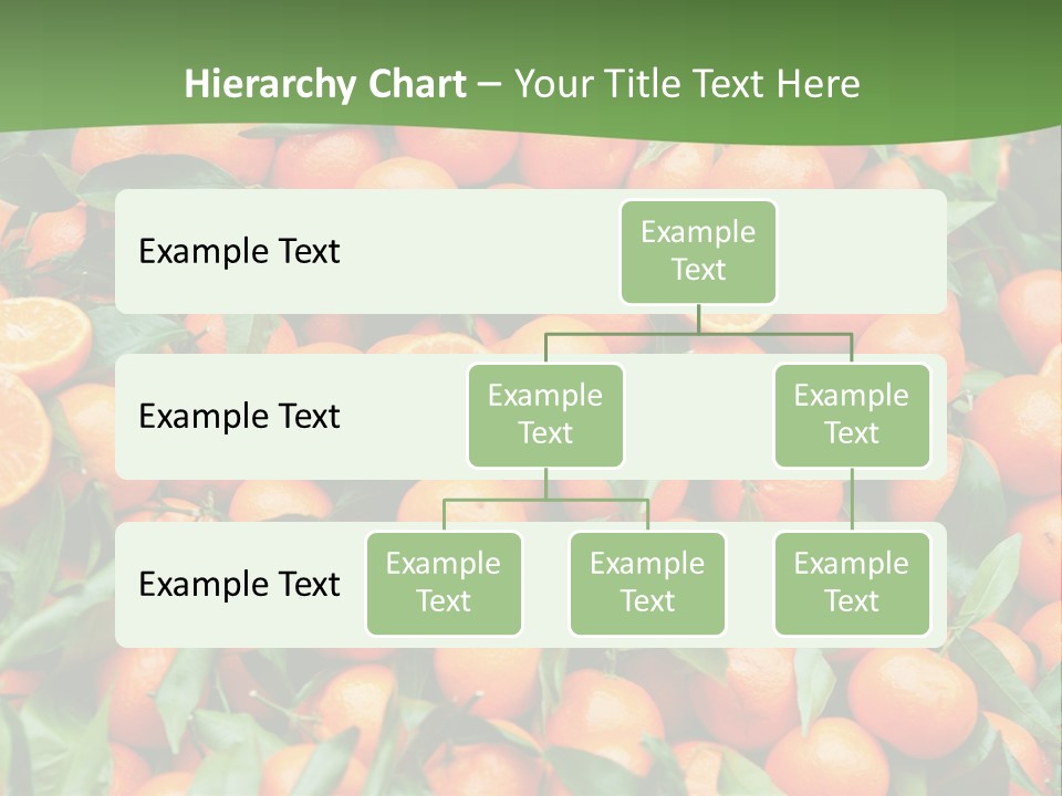 Nature Mandarin Vegetarian PowerPoint Template