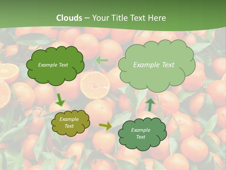 Nature Mandarin Vegetarian PowerPoint Template