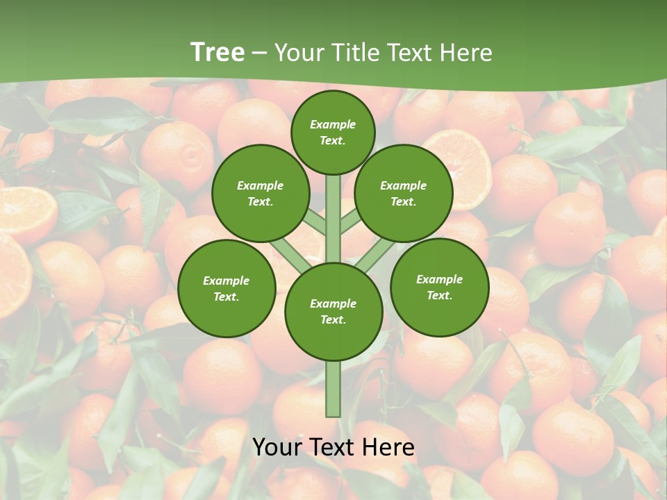 Nature Mandarin Vegetarian PowerPoint Template