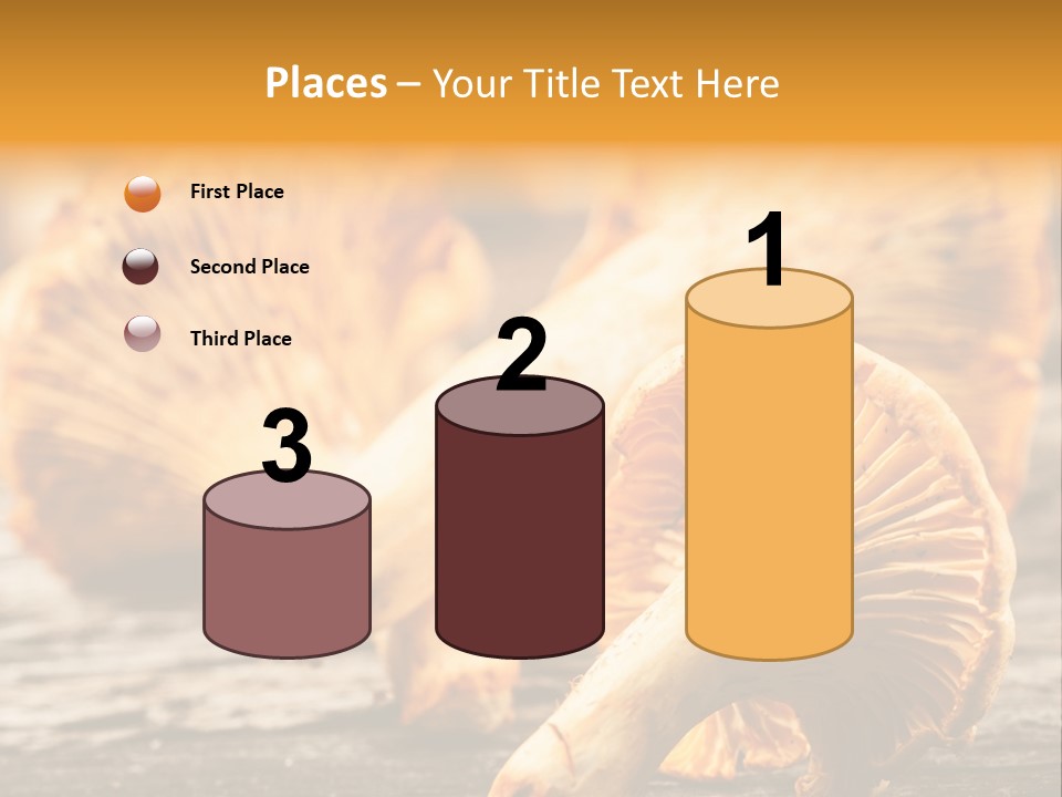 Wild Yellow Horizontal PowerPoint Template