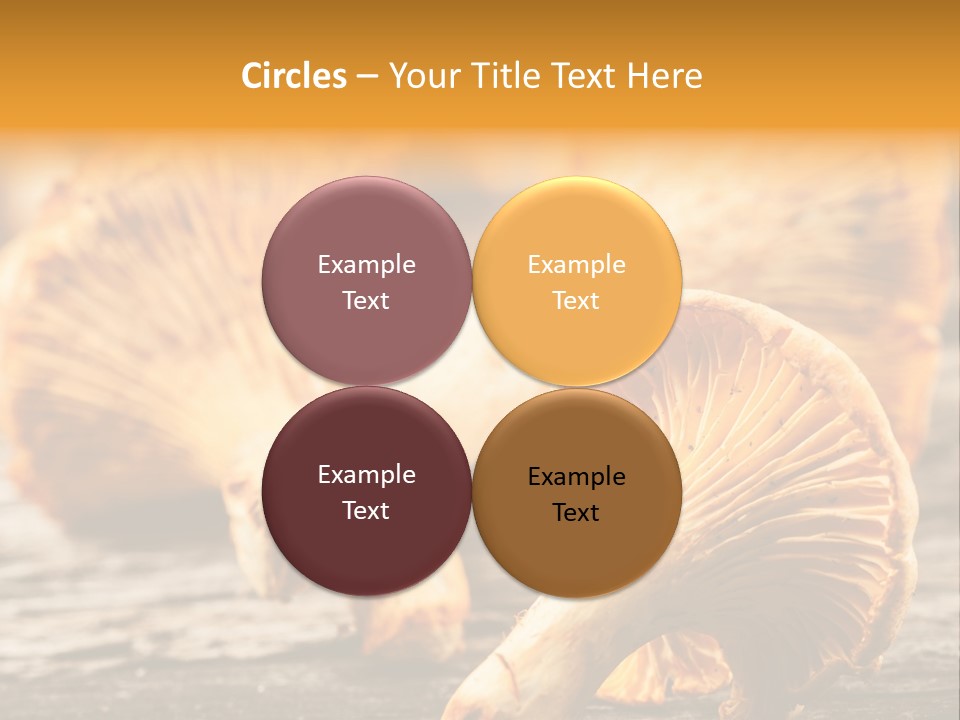 Wild Yellow Horizontal PowerPoint Template