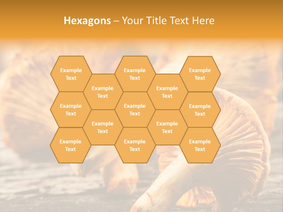 Wild Yellow Horizontal PowerPoint Template