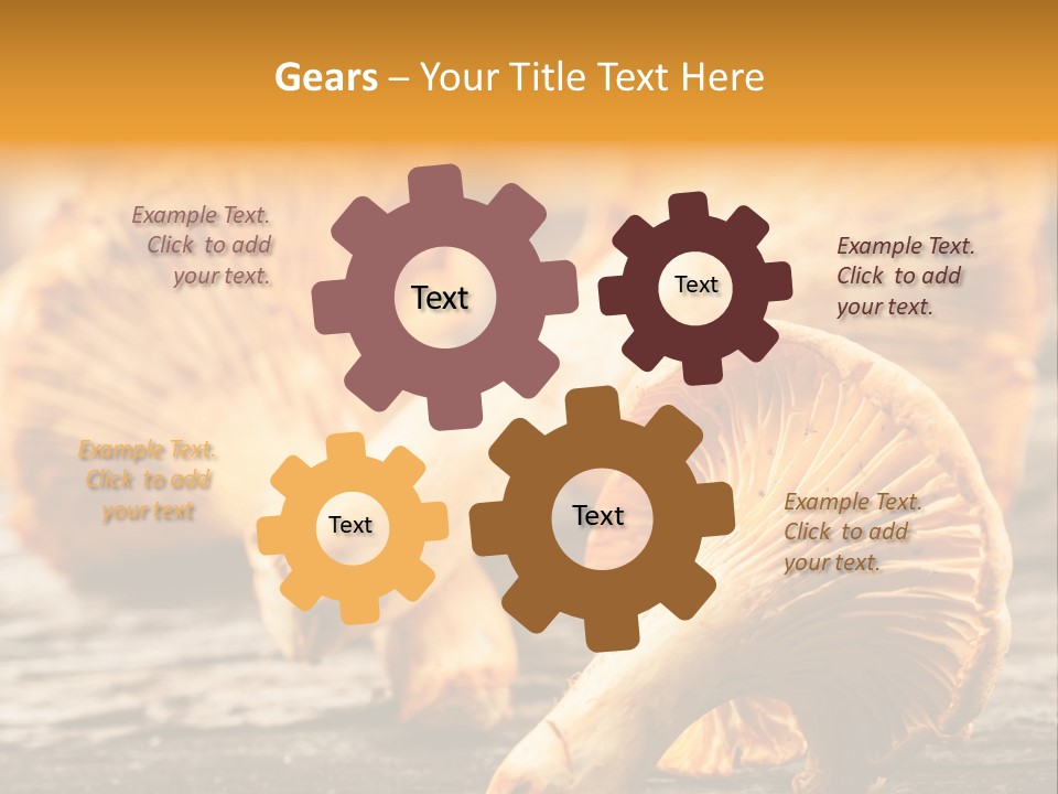 Wild Yellow Horizontal PowerPoint Template