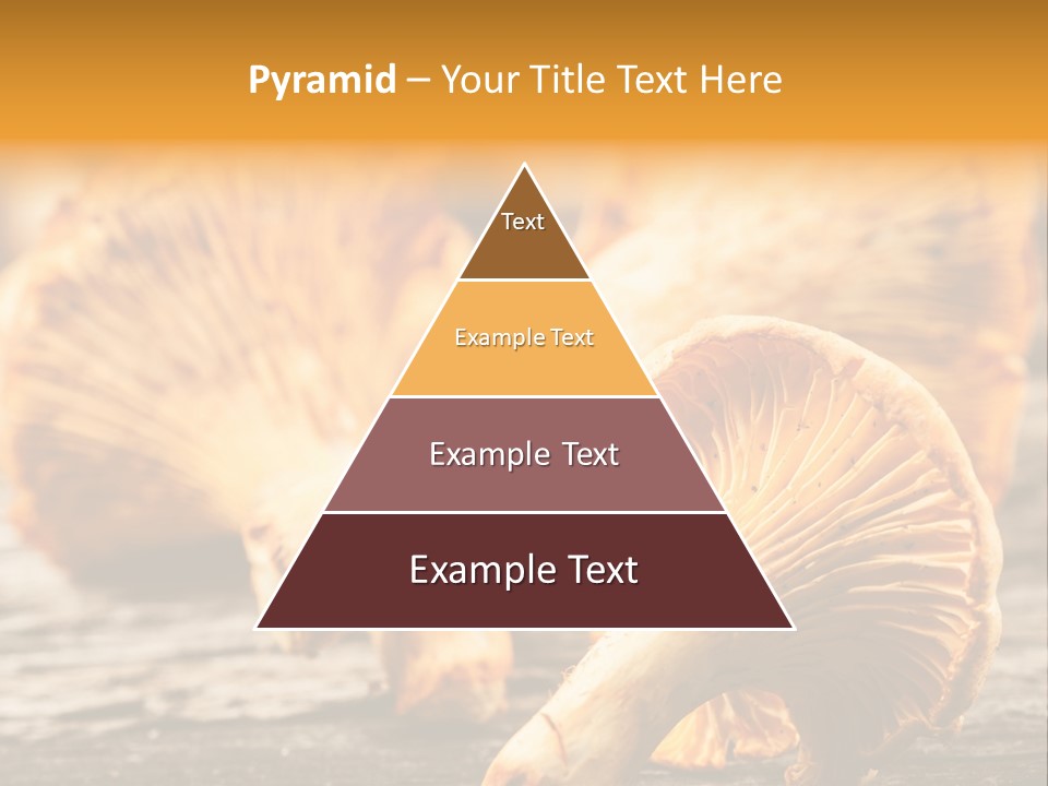 Wild Yellow Horizontal PowerPoint Template