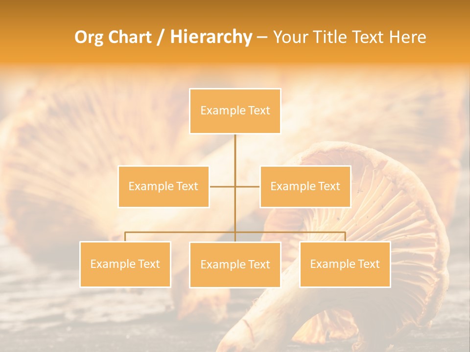 Wild Yellow Horizontal PowerPoint Template