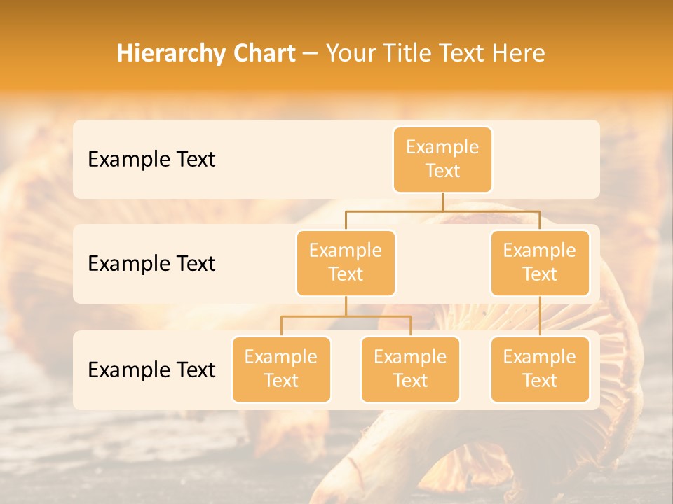 Wild Yellow Horizontal PowerPoint Template