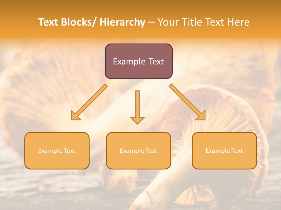 Wild Yellow Horizontal PowerPoint Template