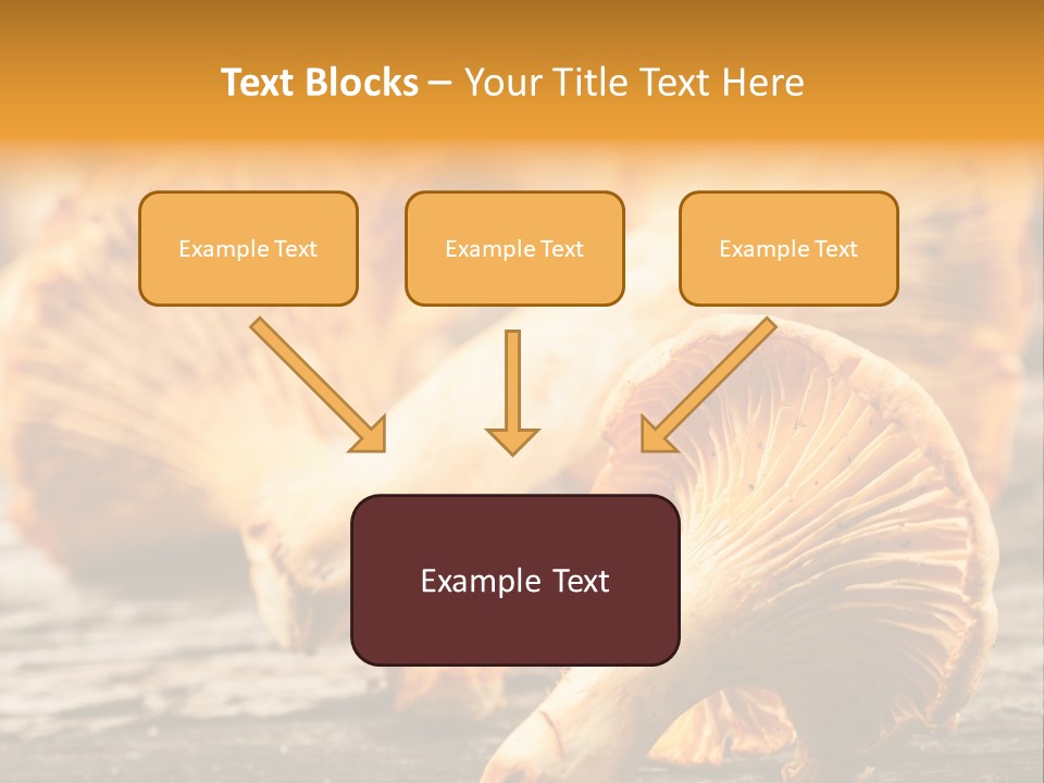 Wild Yellow Horizontal PowerPoint Template