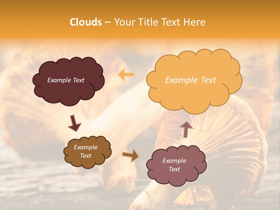 Wild Yellow Horizontal PowerPoint Template