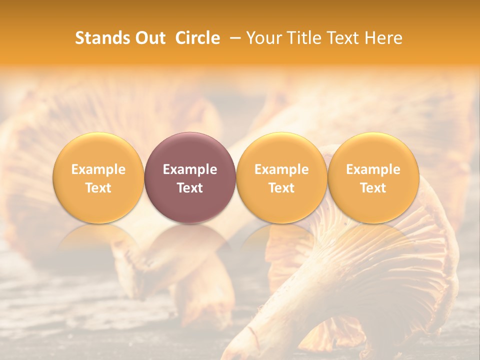 Wild Yellow Horizontal PowerPoint Template