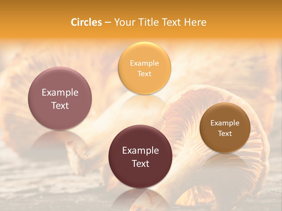 Wild Yellow Horizontal PowerPoint Template