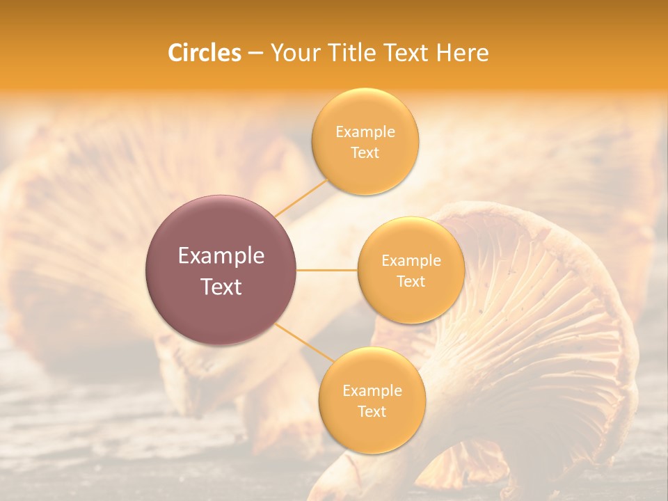 Wild Yellow Horizontal PowerPoint Template