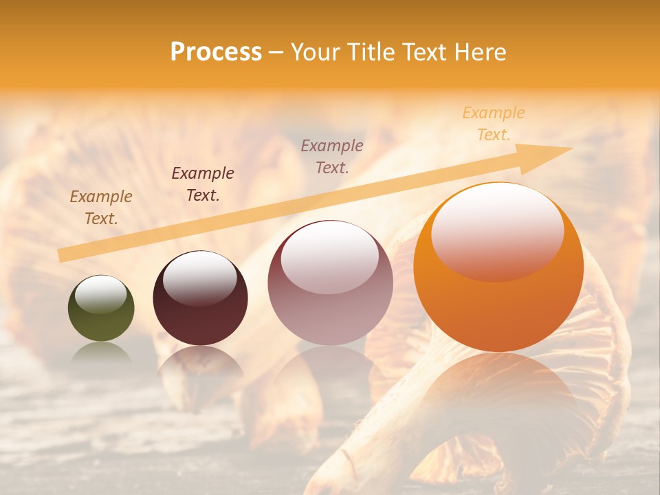 Wild Yellow Horizontal PowerPoint Template