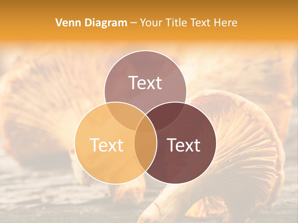 Wild Yellow Horizontal PowerPoint Template