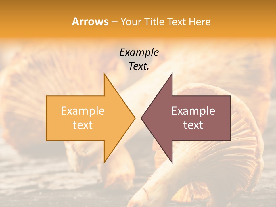 Wild Yellow Horizontal PowerPoint Template