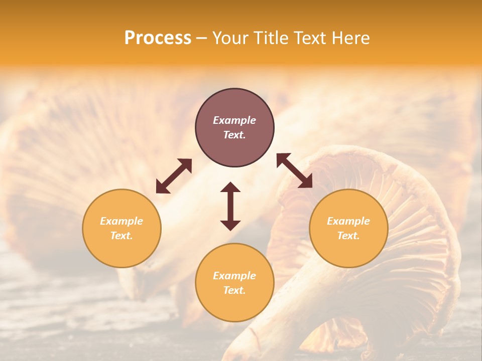 Wild Yellow Horizontal PowerPoint Template