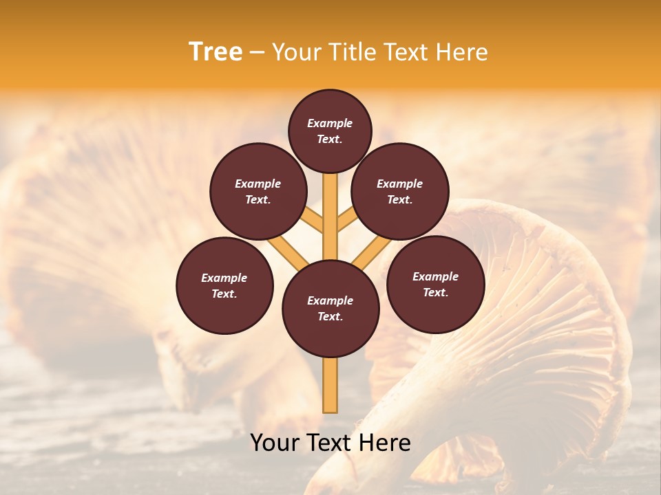 Wild Yellow Horizontal PowerPoint Template