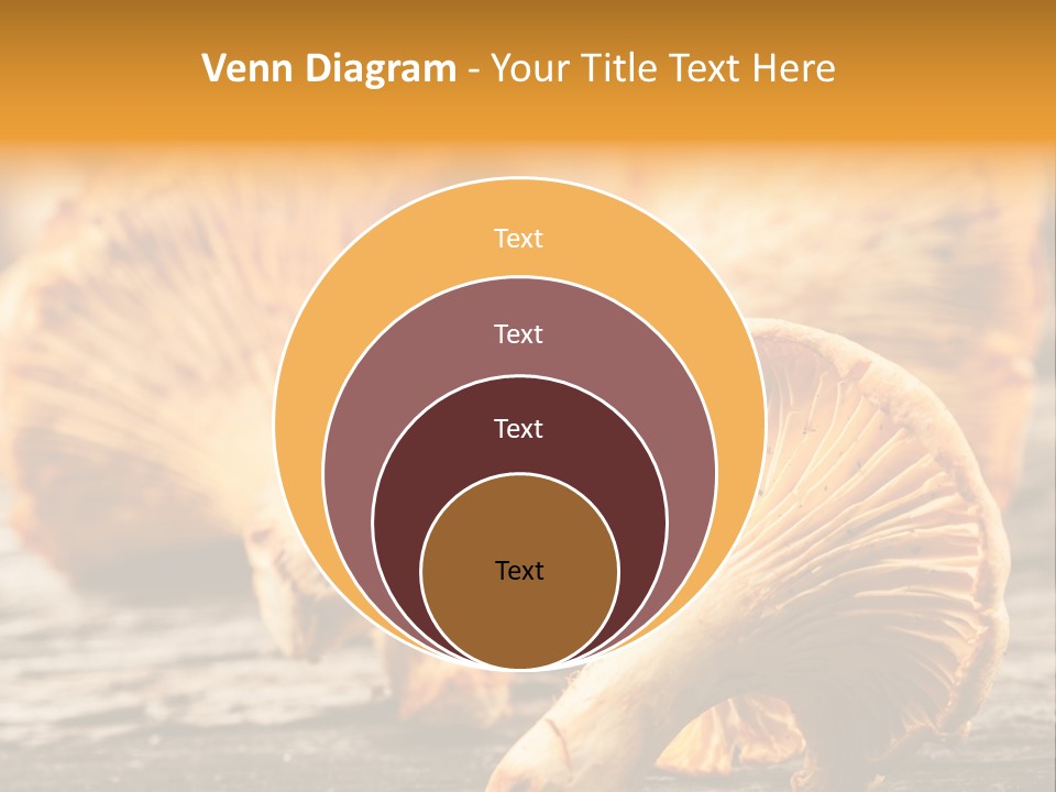 Wild Yellow Horizontal PowerPoint Template