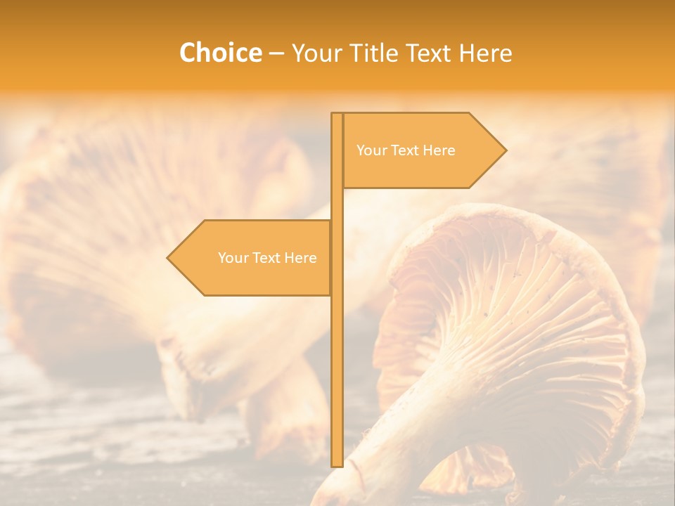 Wild Yellow Horizontal PowerPoint Template