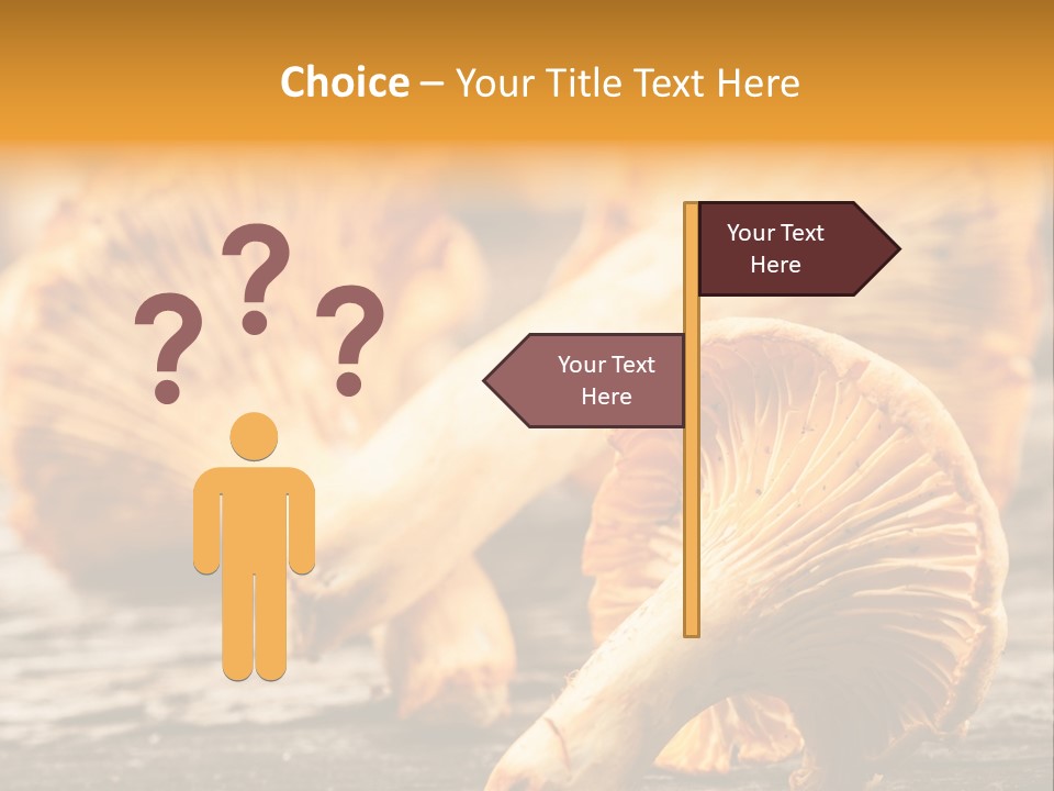 Wild Yellow Horizontal PowerPoint Template