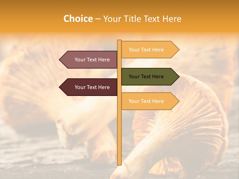 Wild Yellow Horizontal PowerPoint Template