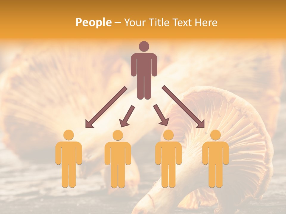 Wild Yellow Horizontal PowerPoint Template