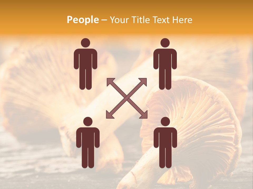 Wild Yellow Horizontal PowerPoint Template