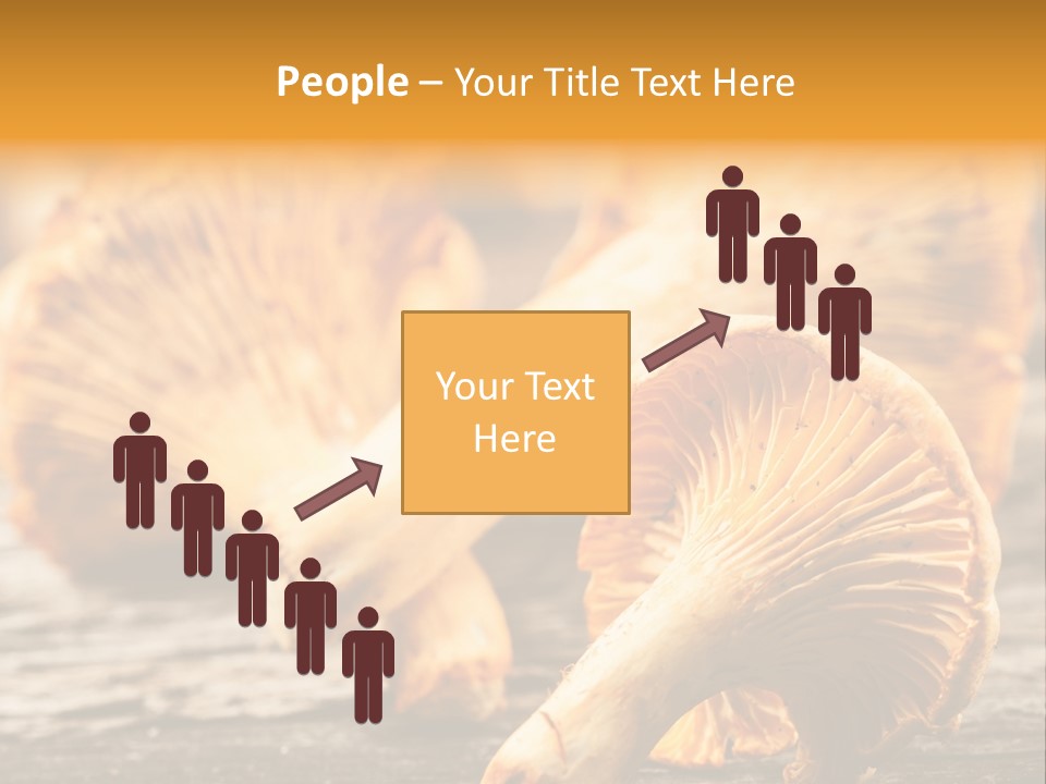 Wild Yellow Horizontal PowerPoint Template