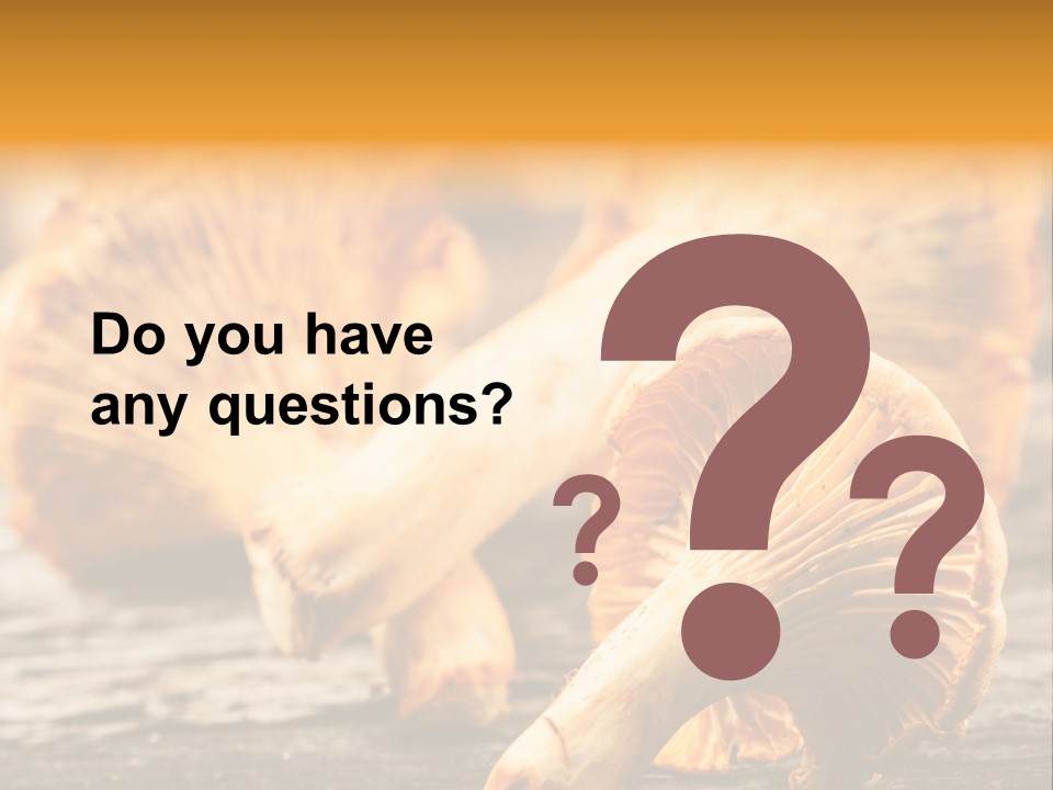 Wild Yellow Horizontal PowerPoint Template