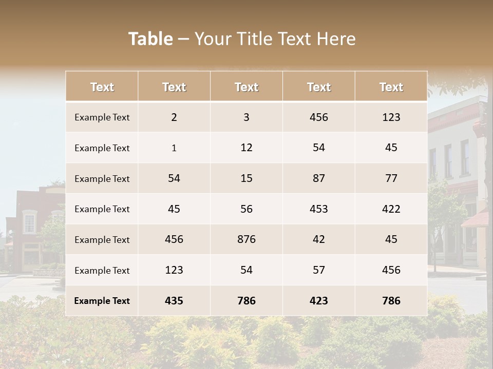 Adairsville Southern Southeast PowerPoint Template