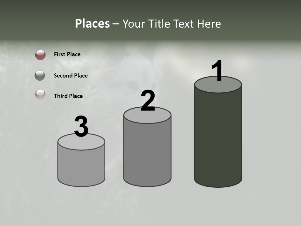 Yellowstone Wildlife Animal PowerPoint Template