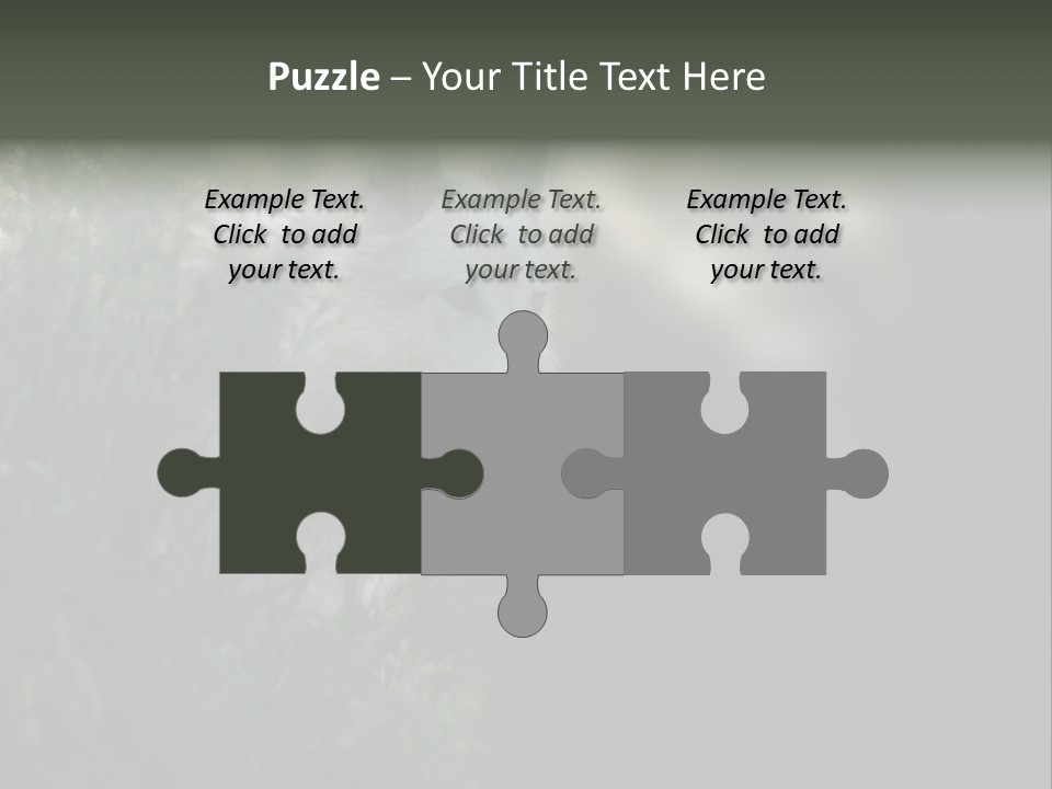 Yellowstone Wildlife Animal PowerPoint Template