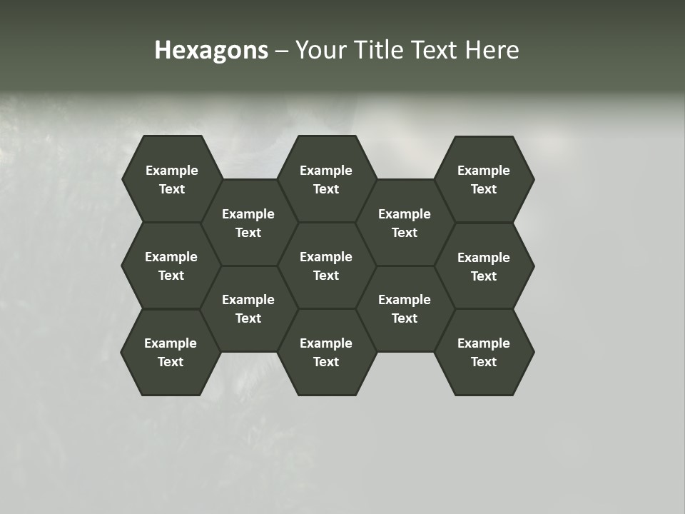 Yellowstone Wildlife Animal PowerPoint Template