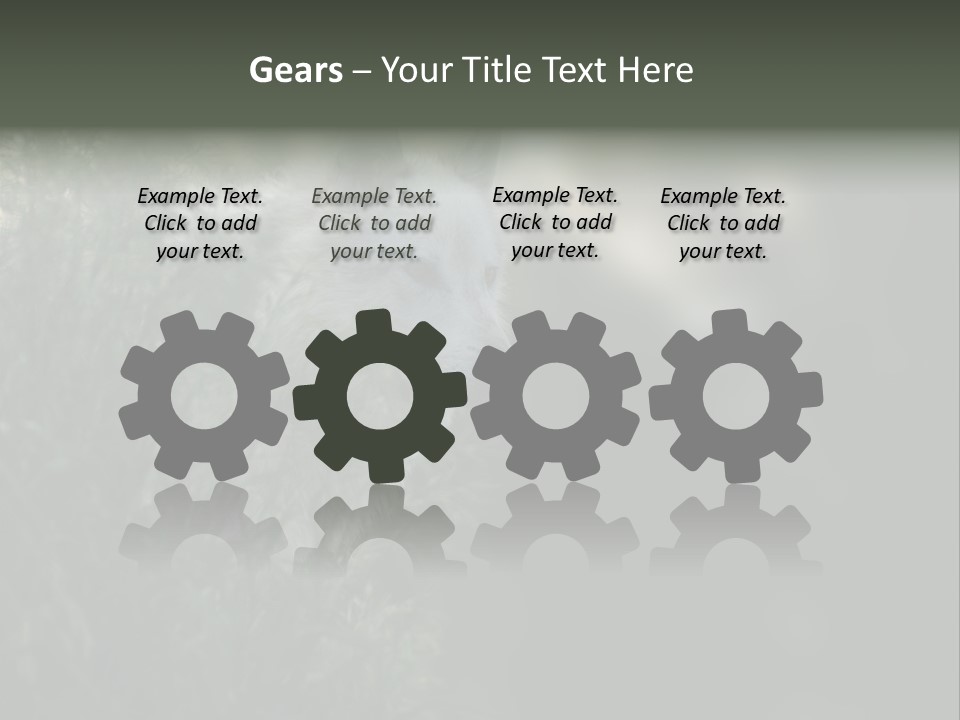 Yellowstone Wildlife Animal PowerPoint Template