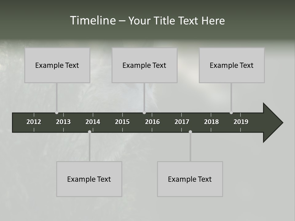Yellowstone Wildlife Animal PowerPoint Template