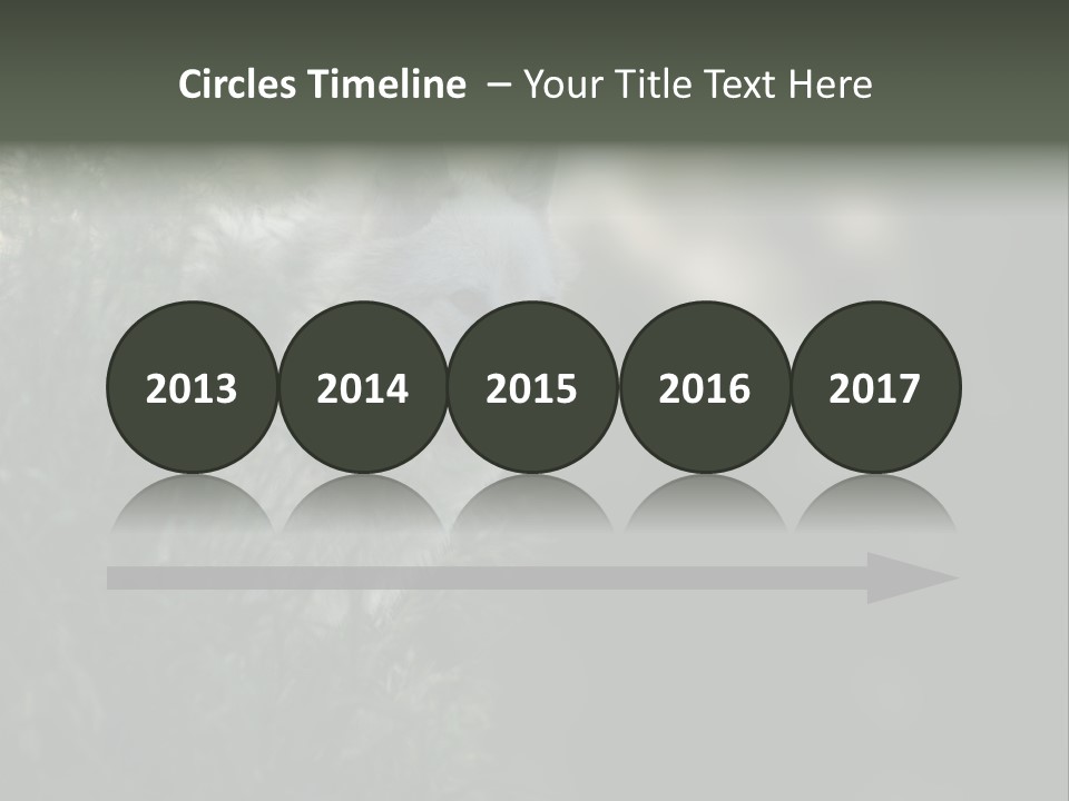 Yellowstone Wildlife Animal PowerPoint Template