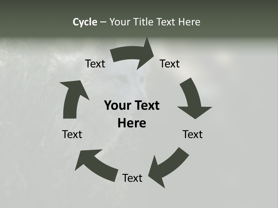 Yellowstone Wildlife Animal PowerPoint Template