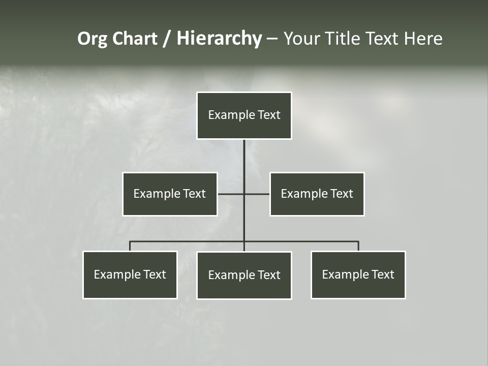 Yellowstone Wildlife Animal PowerPoint Template